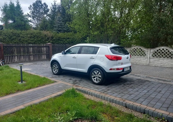 Kia Sportage cena 64800 przebieg: 86000, rok produkcji 2015 z Koluszki małe 562